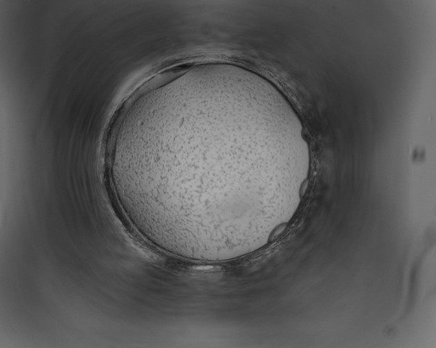 X0000089420053200707131830