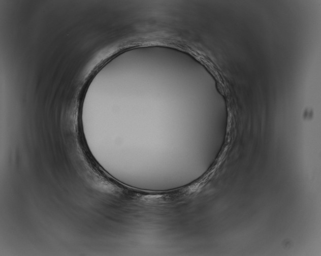 X0000089420054200707131830