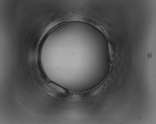 X0000089420056200707131830