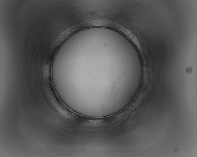 X0000089420057200707131831