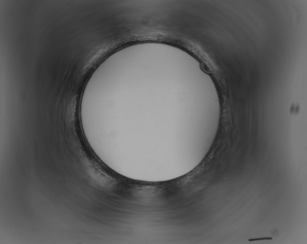 X0000089420058200707131831