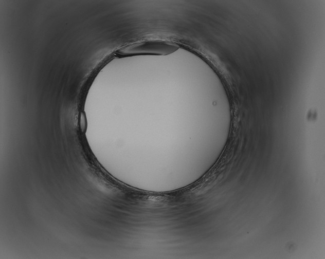 X0000089420060200707131831