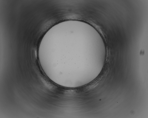 X0000089420061200707131831