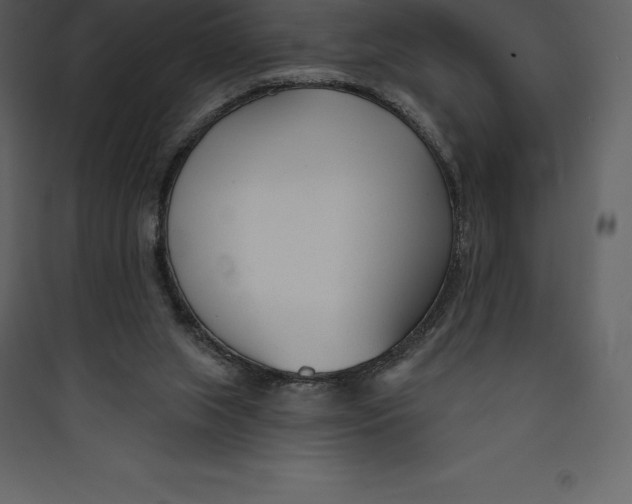 X0000089420063200707131831