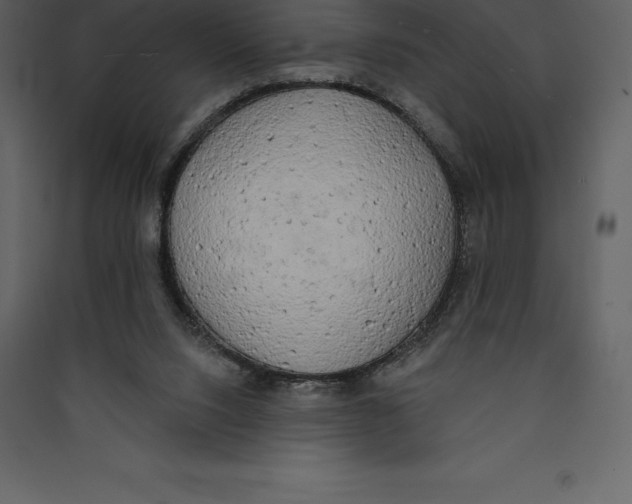 X0000089420064200707131831