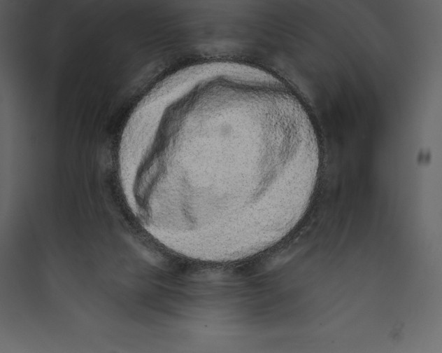 X0000089420065200707131831