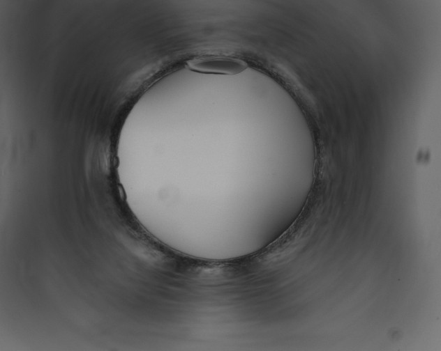 X0000089420068200707131831