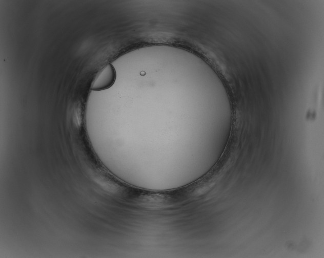 X0000089420069200707131831