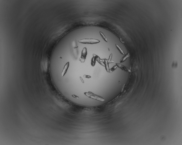X0000089420076200707131831