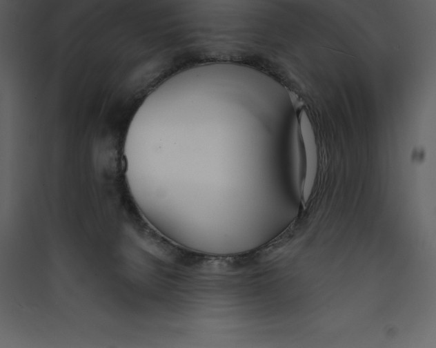 X0000089420080200707131831