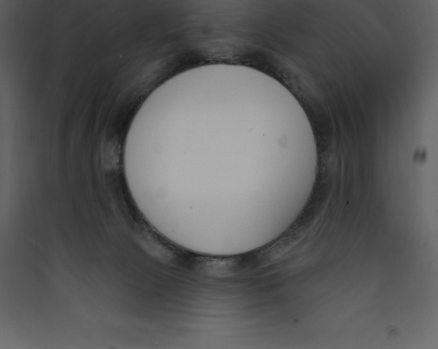 X0000089420081200707131831
