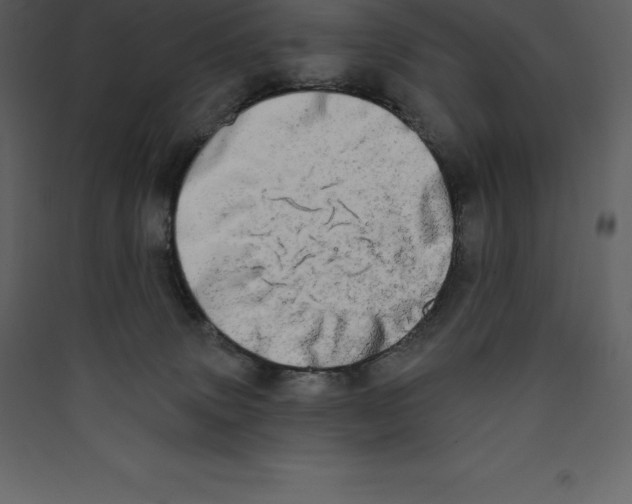 X0000089420083200707131831