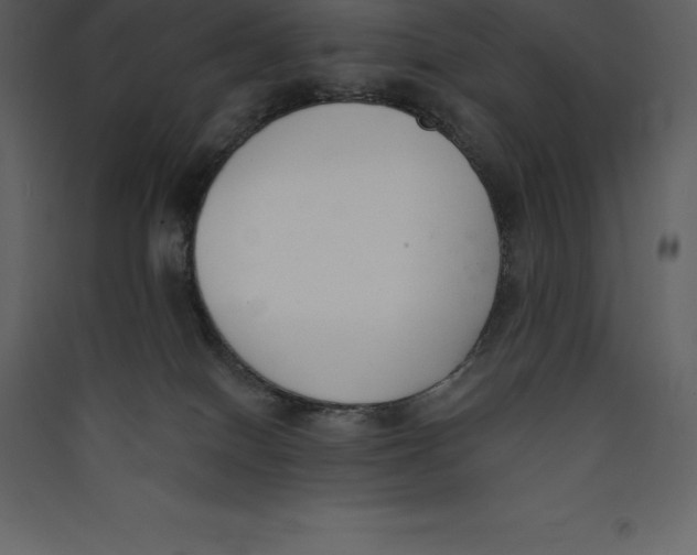 X0000089420086200707131831