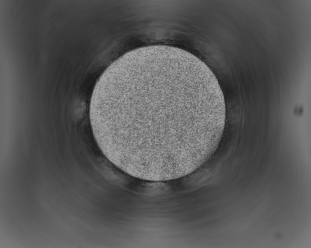 X0000089420087200707131831