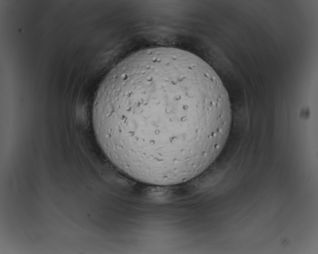 X0000089420088200707131831