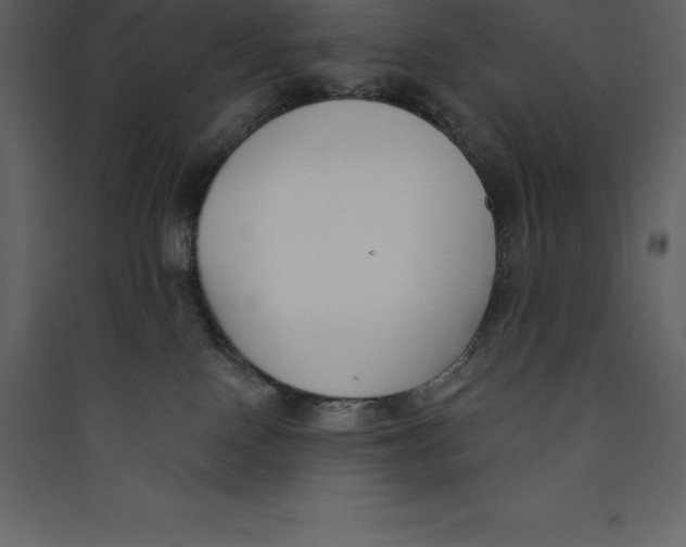 X0000089420090200707131831