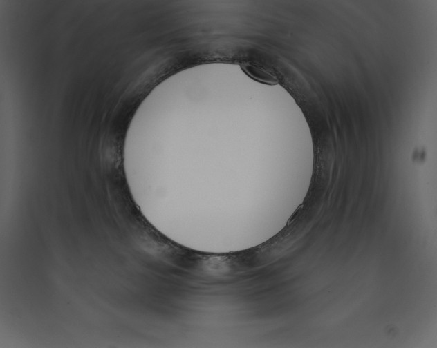 X0000089420091200707131831