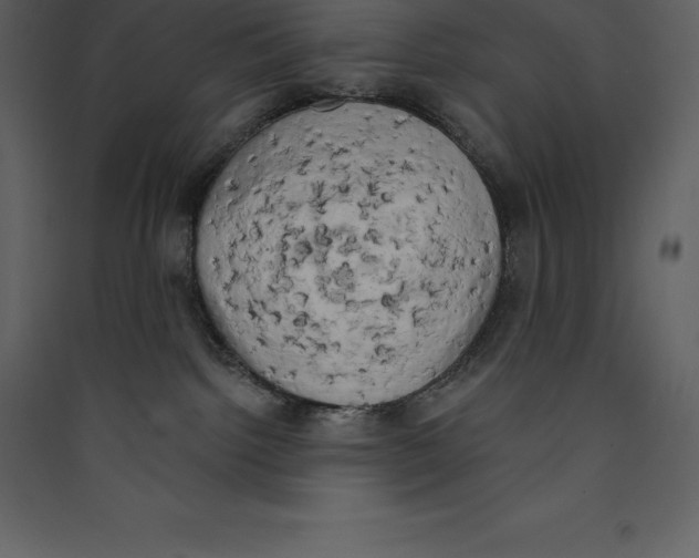X0000089420092200707131831