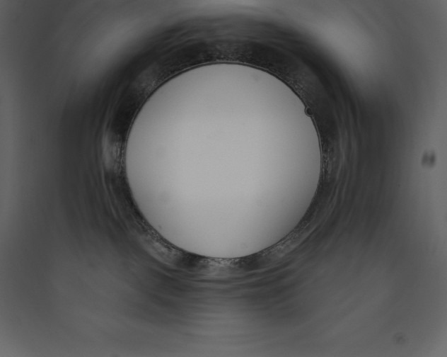 X0000089420093200707131831