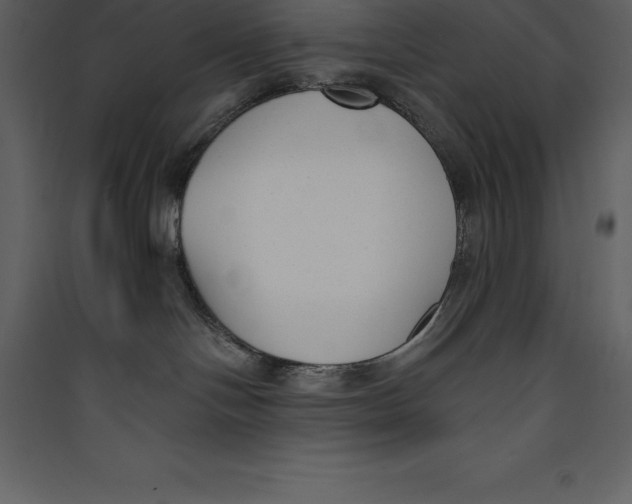 X0000089420094200707131831