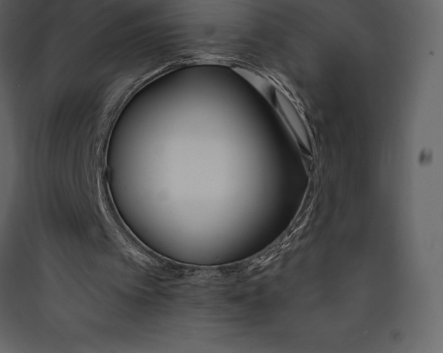 X0000089420097200707131830