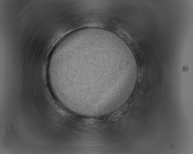 X0000089420098200707131830