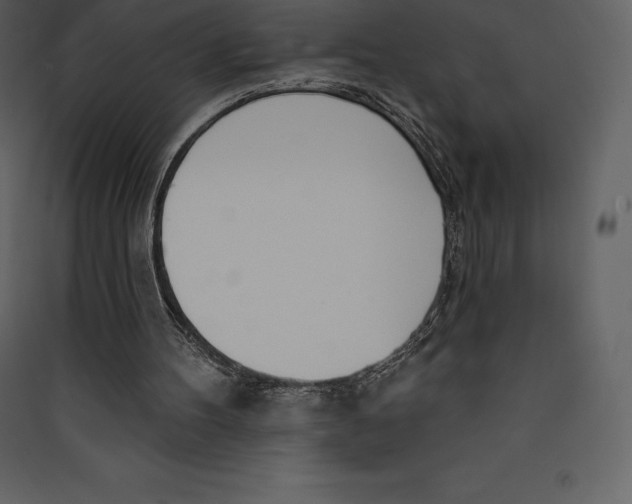 X0000089420100200707131830