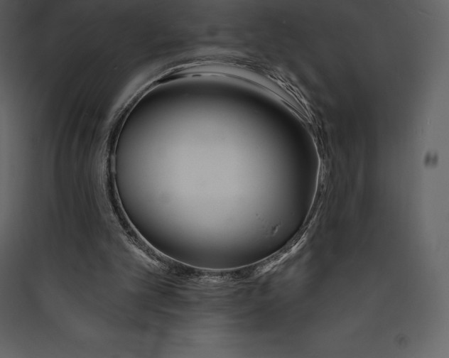 X0000089420101200707131830