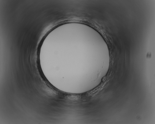 X0000089420102200707131830