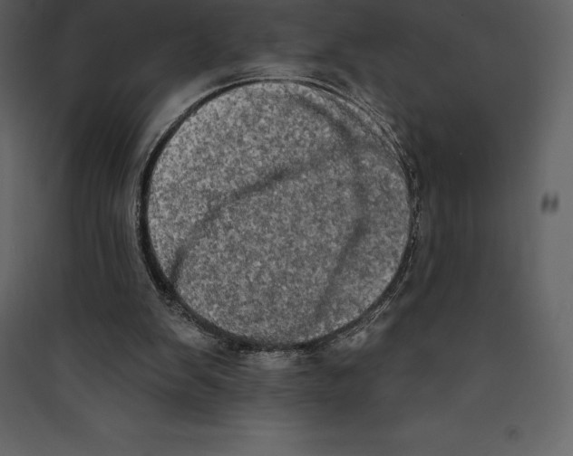 X0000089420103200707131830
