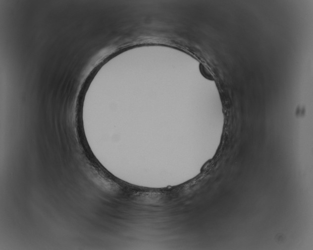 X0000089420104200707131830