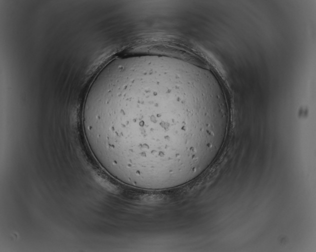X0000089420105200707131830