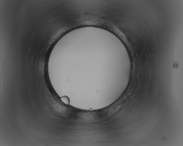 X0000089420106200707131830
