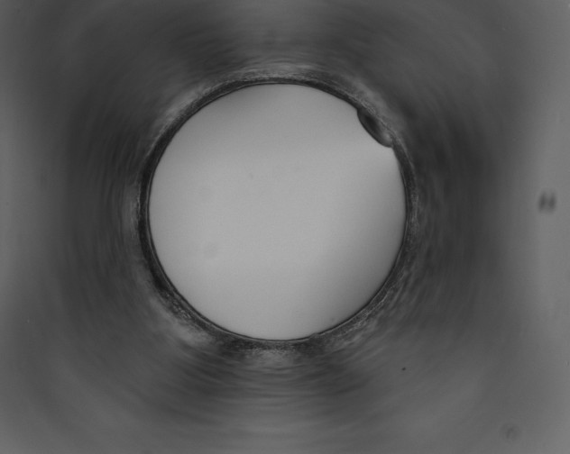 X0000089420107200707131830