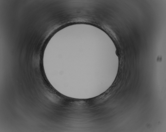 X0000089420108200707131830