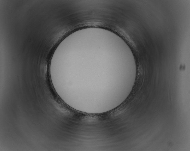 X0000089420110200707131830