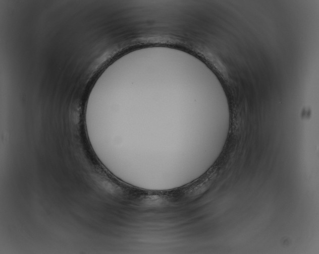 X0000089420111200707131830