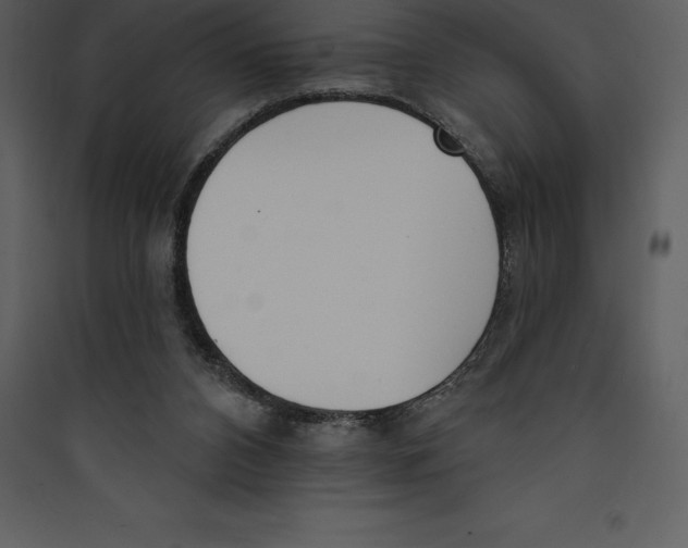X0000089420112200707131830