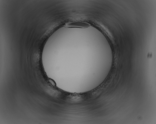 X0000089420113200707131830