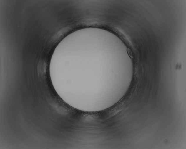 X0000089420115200707131830