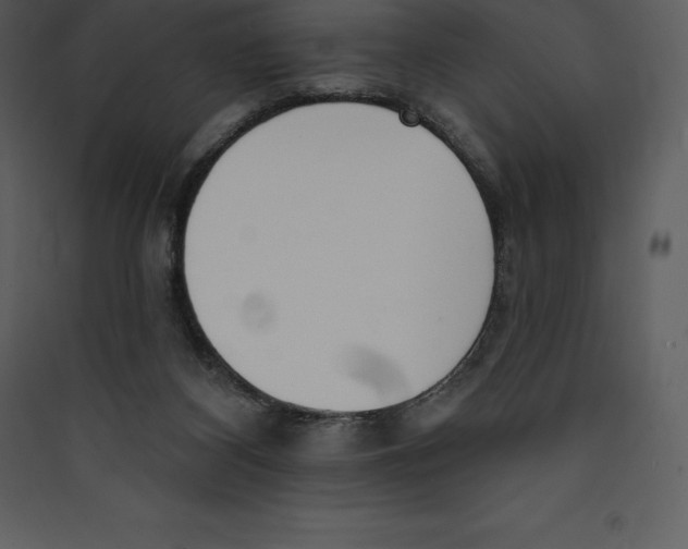 X0000089420116200707131830