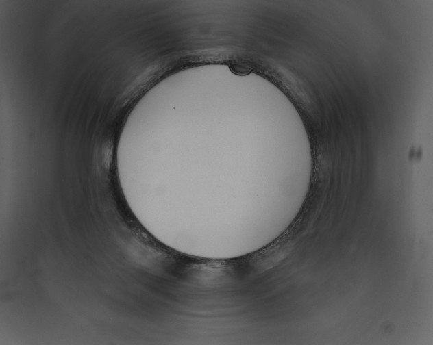 X0000089420118200707131830