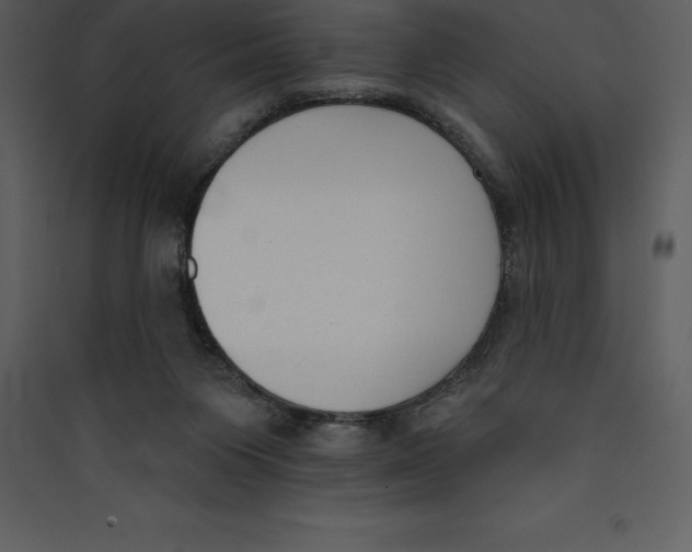 X0000089420119200707131830