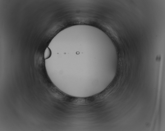 X0000089420123200707131830