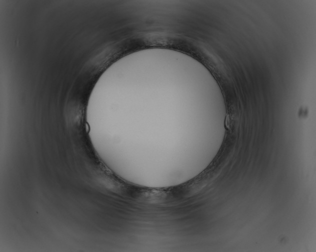 X0000089420125200707131830