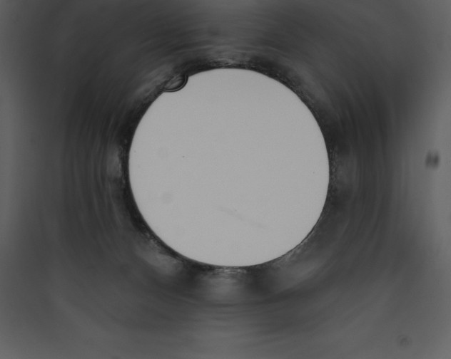 X0000089420128200707131830