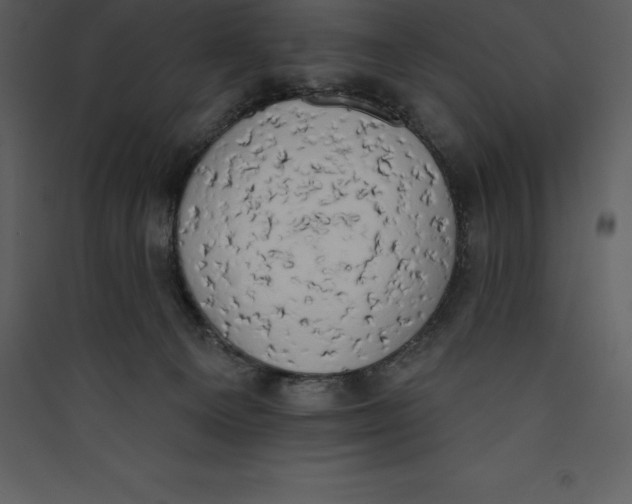 X0000089420129200707131830