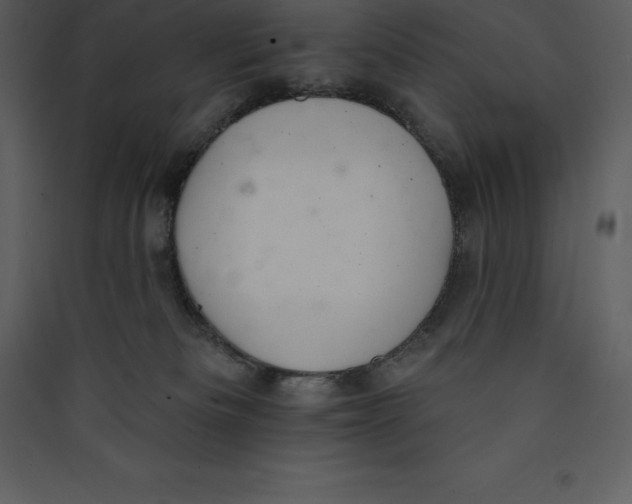 X0000089420133200707131830