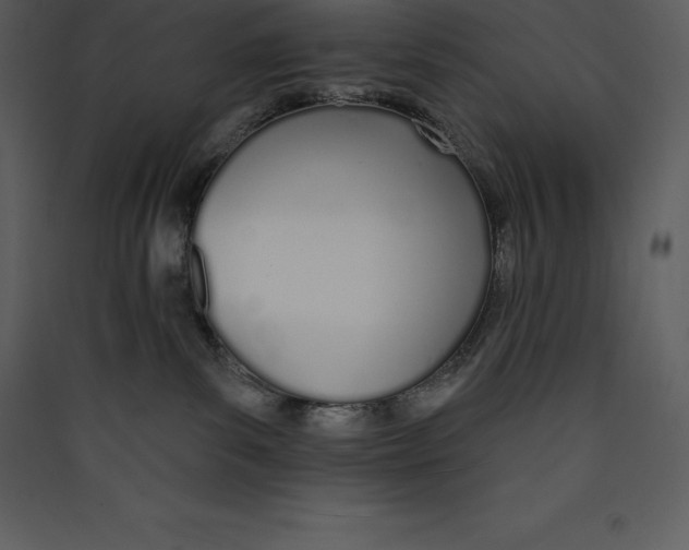 X0000089420139200707131830