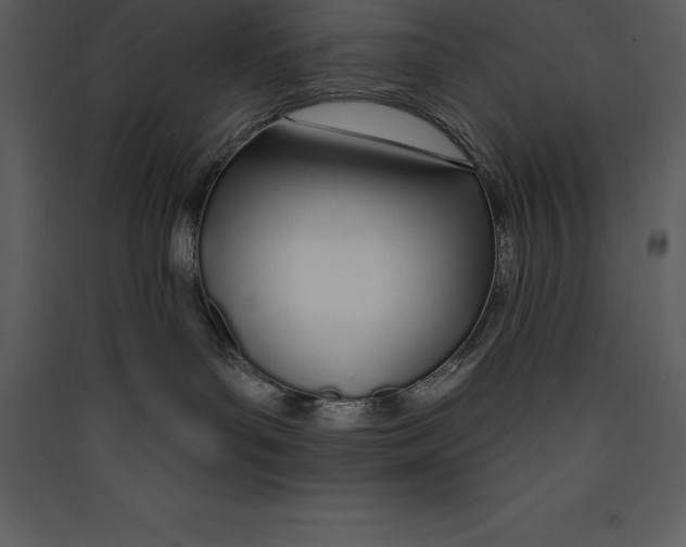 X0000089420143200707131830